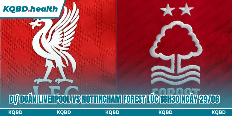 Dự Đoán Liverpool Vs Nottingham Forest Lúc 18H30 Ngày 29/08 - Ngoại Hạng Anh 4 Dự đoán Liverpool vs Nottingham Forest