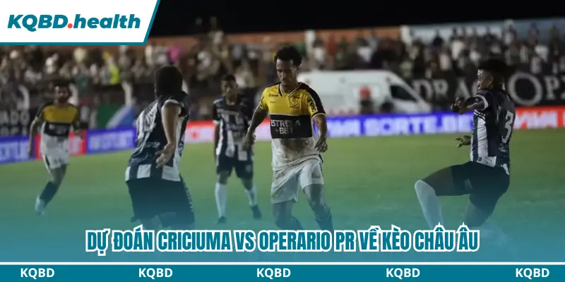 Dự Đoán Criciuma vs Operario PR lúc 05h30 Ngày 23/09 - Serie B Brazil 3 Dự đoán Criciuma vs Operario PR kèo châu Âu