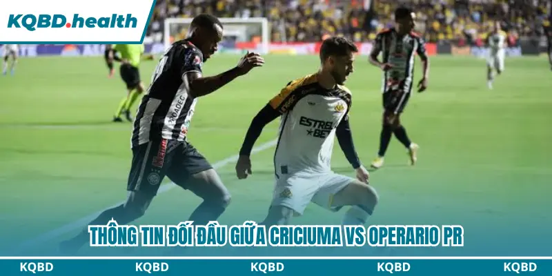 Dự Đoán Criciuma vs Operario PR lúc 05h30 Ngày 23/09 - Serie B Brazil 2 Criciuma vs Operario PR có những cuộc đối đầu đầy căng thẳng