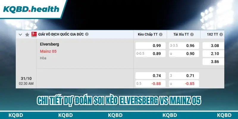 Tóm tắt các lựa chọn trọng tâm trong dự đoán Elversberg vs Mainz 05